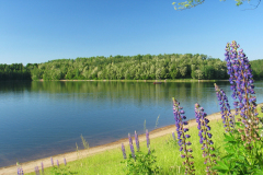 Großer See Pahna im Frühling