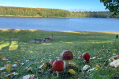 Wunderschöne Herbstmomente in Pahna
